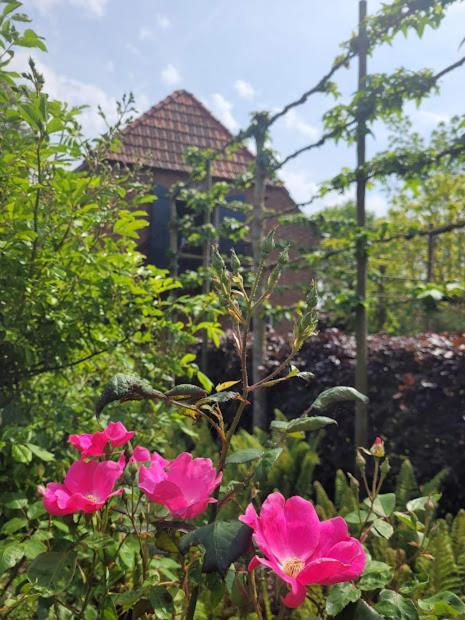 Studio Nok Bij Den Bosch Den Dungen 外观 照片
